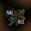 MUSTH Tabak BAIKLE 125g.JPG