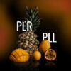 MUSTH Tabak PER PLL 125g.JPG