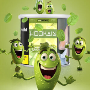 Hookain Tabak Gray Mind 200g.JPG