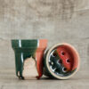 ST Bowl Classic Sweety Red-Green