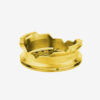 Conceptic Design HMD Gold.JPG