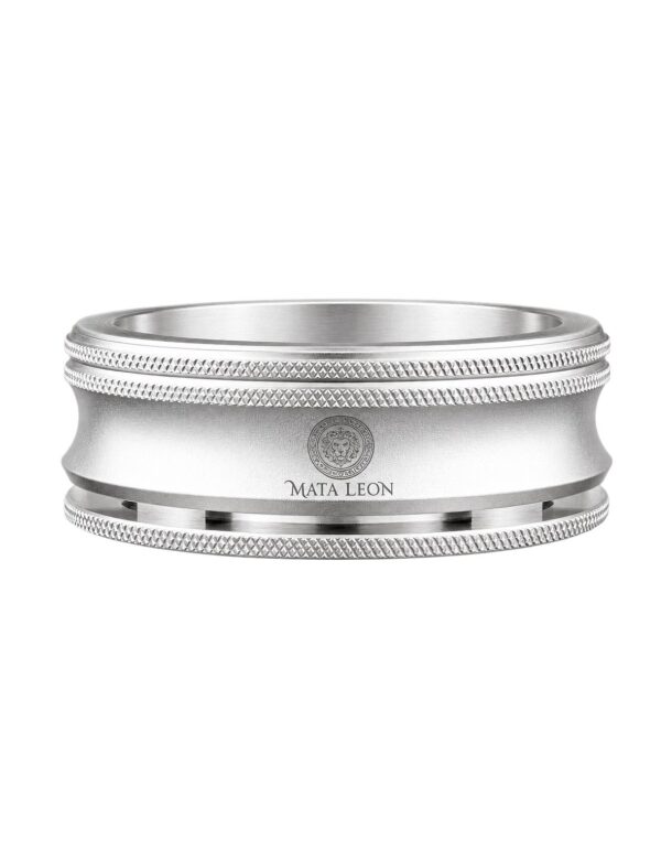 mata-leon-hmd-silber-shisha-smokebox-1.jpg